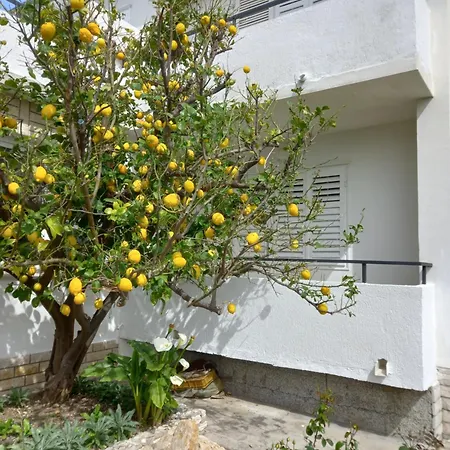 Διαμέρισμα Sobe Ruza