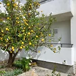 아파트 Sobe Ruza