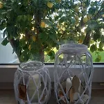 Sobe Ruza 아파트 Banjol