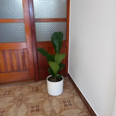 Sobe Ruza Apartment *