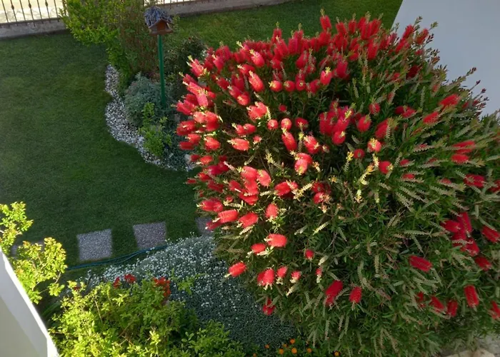 Apartman Sobe Ruza Banjol