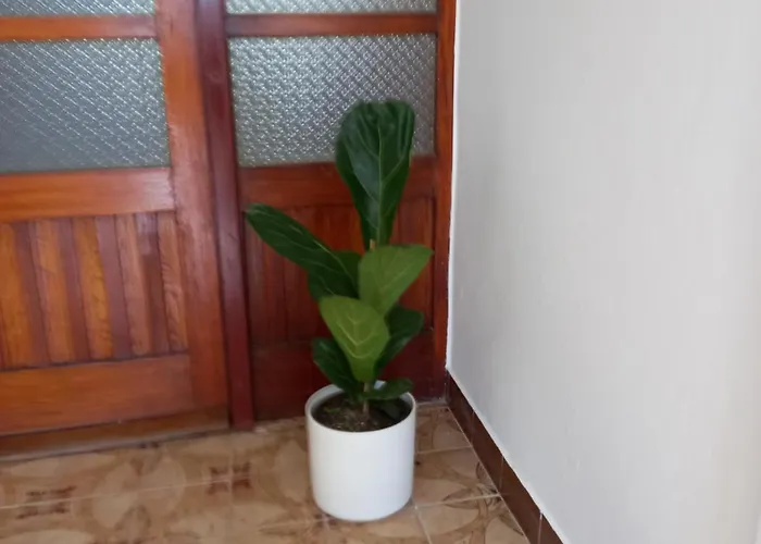 Sobe Ruza Apartman *